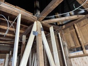 IMG_8871