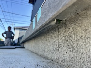 写真 2026-05-18 15 56 30