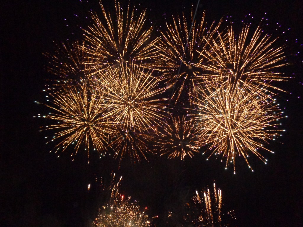 DSC05139