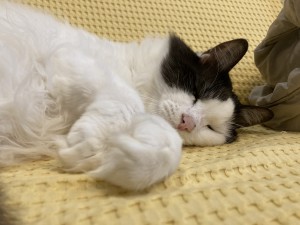 IMG_1999