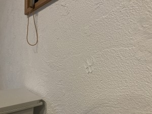 IMG_6268