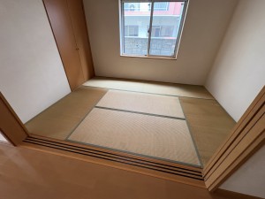 IMG_7842